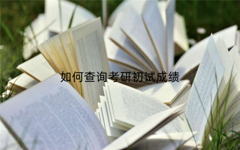 如何查询考研初试成绩
