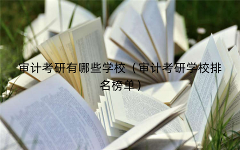 审计考研有哪些学校（审计考研学校排名榜单）