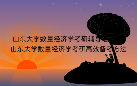 山东大学数量经济学考研辅导培训班：山东大学数量经济学考研高效备考方法