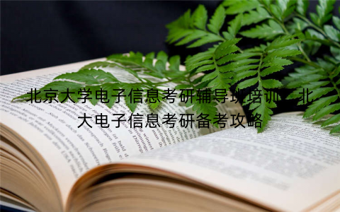 北京大学电子信息考研辅导班培训：北大电子信息考研备考攻略