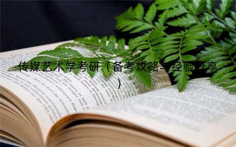 传媒艺术学考研（备考攻略与经验分享）