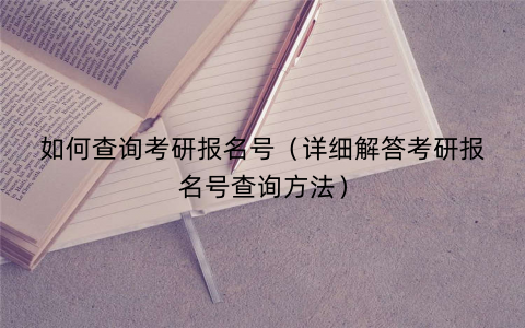 如何查询考研报名号（详细解答考研报名号查询方法）