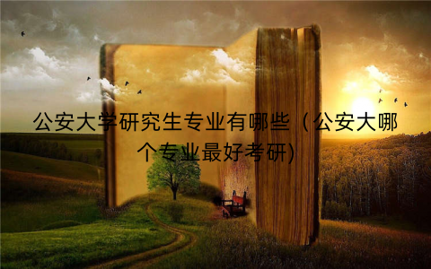 公安大学研究生专业有哪些（公安大哪个专业最好考研)