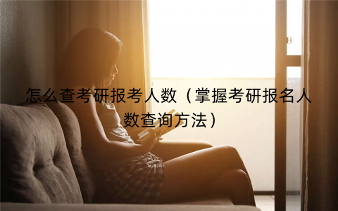 怎么查考研报考人数（掌握考研报名人数查询方法）