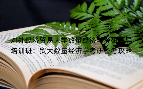 对外经济贸易大学数量经济学考研辅导培训班：贸大数量经济学考研备考攻略