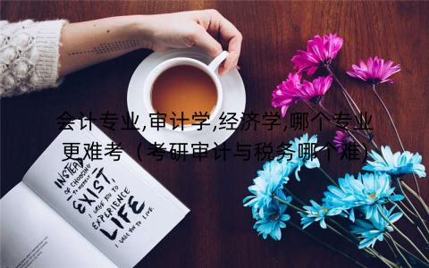 会计专业,审计学,经济学,哪个专业更难考（考研审计与税务哪个难)