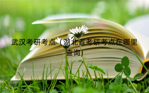 武汉考研考点（湖北省考研考点在哪里查询)