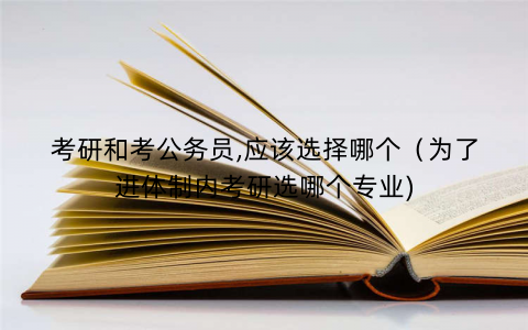 考研和考公务员,应该选择哪个（为了进体制内考研选哪个专业)