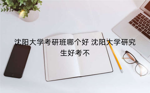 沈阳大学考研班哪个好 沈阳大学研究生好考不