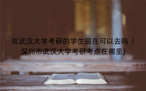 在武汉大学考研的学生现在可以去吗（深圳市武汉大学考研考点在哪里)