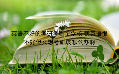 英语不好的考研考哪个学校 我英语很不好但又想考研该怎么办啊