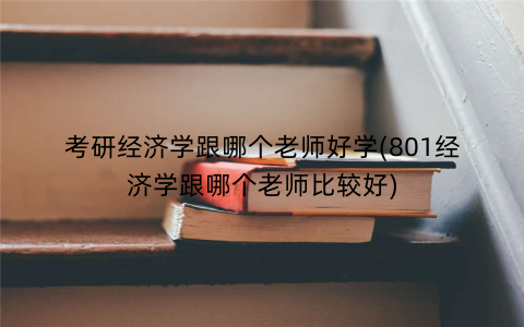 考研经济学跟哪个老师好学(801经济学跟哪个老师比较好)