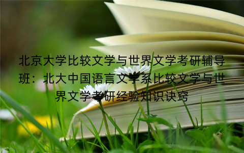 北京大学比较文学与世界文学考研辅导班：北大中国语言文学系比较文学与世界文学考研经验知识诀窍