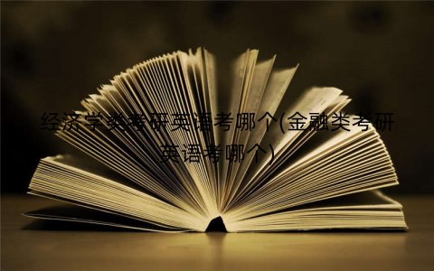 经济学类考研英语考哪个(金融类考研英语考哪个)