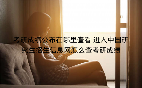 考研成绩公布在哪里查看 进入中国研究生招生信息网怎么查考研成绩