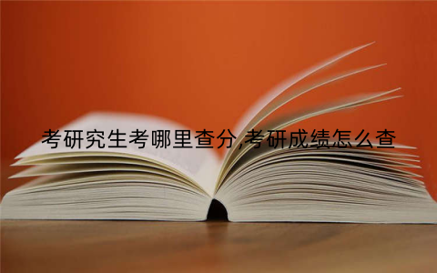 考研究生考哪里查分,考研成绩怎么查