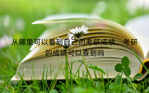 从哪里可以看到自己的考研成绩，考研的成绩可以查到吗
